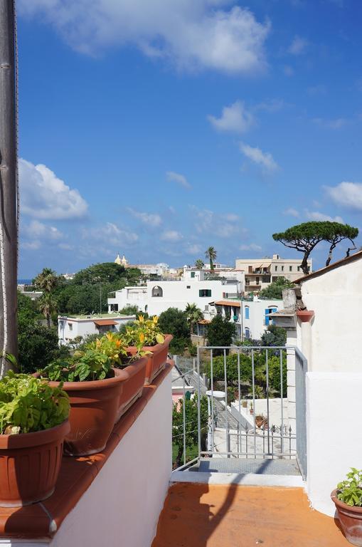 Ring Hostel Forio di Ischia 외부 사진