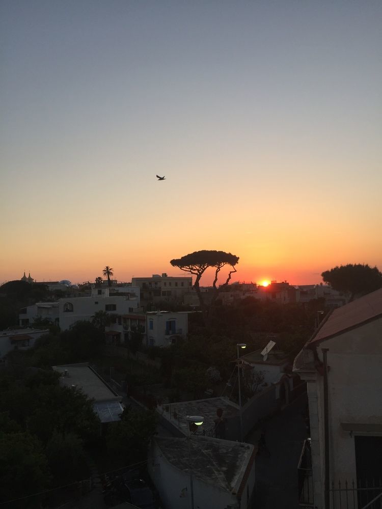 Ring Hostel Forio di Ischia 외부 사진